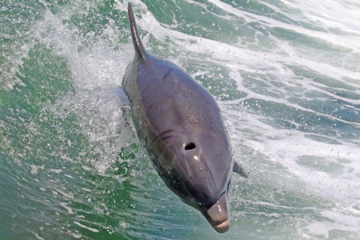 a man riding a wave on a surfboard in the water