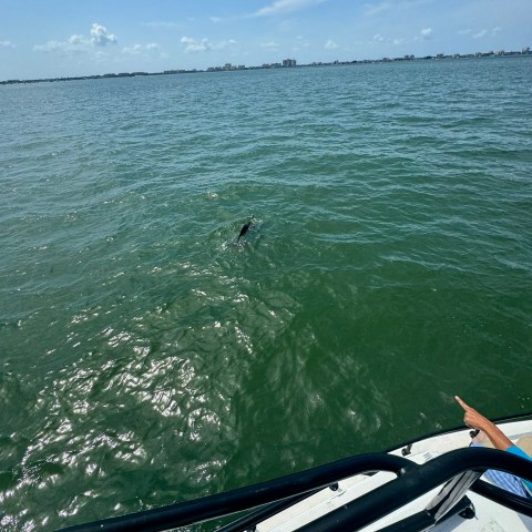 a person sitting on a bench next to a body of water