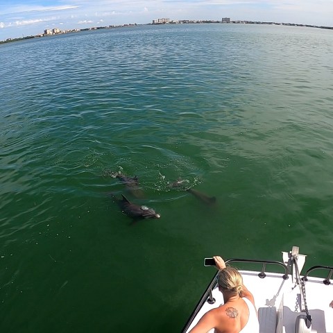 a group of people swimming in a body of water