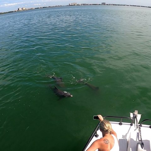 a group of people swimming in a body of water