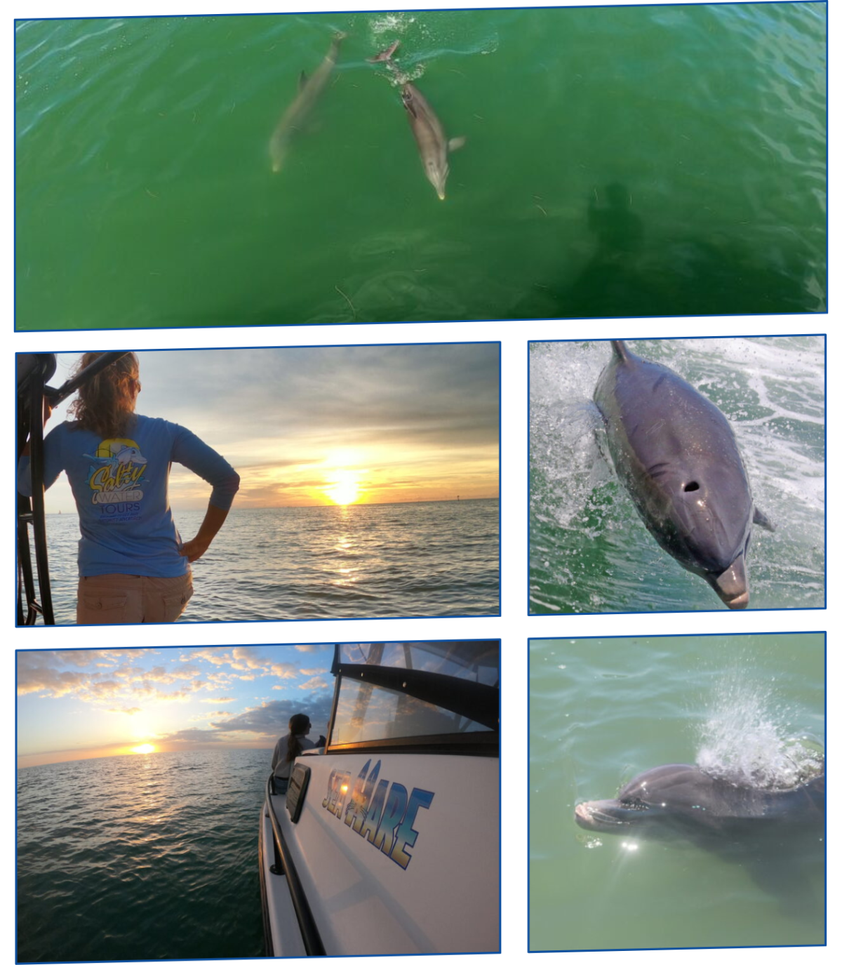 graphical user interface, website